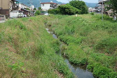 河川の状態