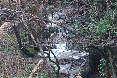 汚濁水流れる川