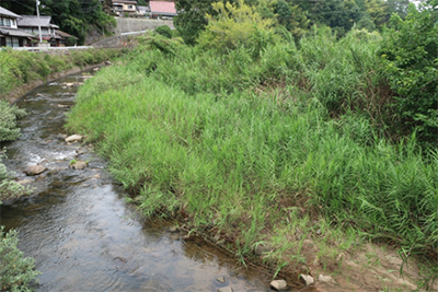 布目川での土砂堆積